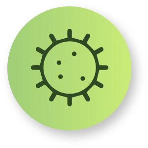 hearth circle icon